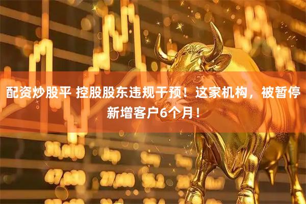 配资炒股平 控股股东违规干预！这家机构，被暂停新增客户6个月！
