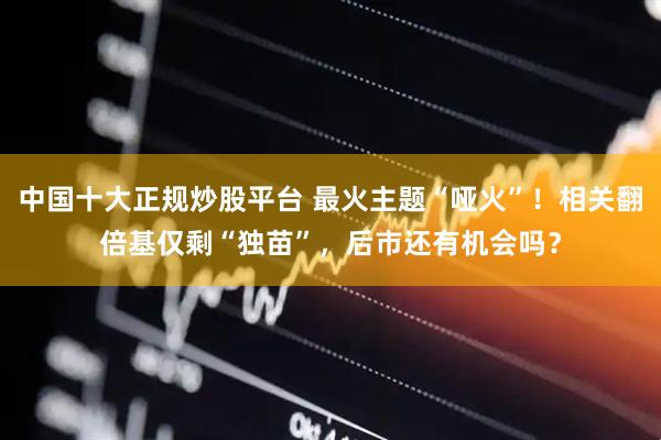中国十大正规炒股平台 最火主题“哑火”！相关翻倍基仅剩“独苗”，后市还有机会吗？